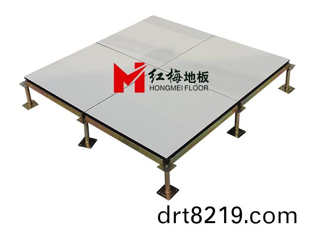 全鋼(gang)防(fang)靜電地闆.jpg