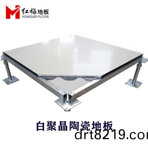 白聚(ju)晶(jing)防靜電(dian)地闆(ban)3.jpg