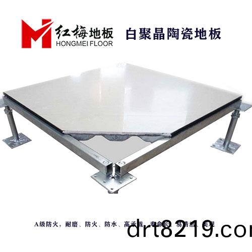 白(bai)聚晶(jing)防(fang)靜(jing)電地(di)闆(ban)2.jpg