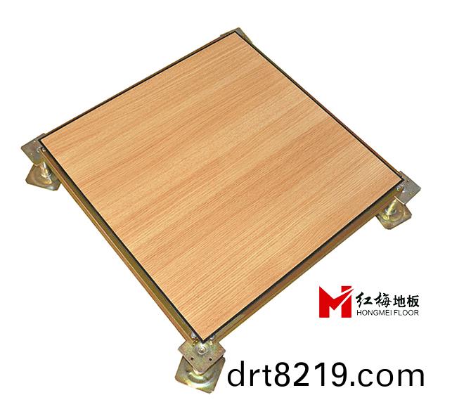 木紋(wen)防靜(jing)電(dian)地闆.jpg